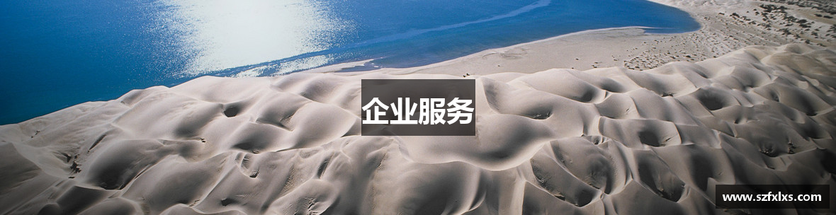 企业服务
